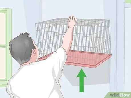 Дом канарейки Шаг 6