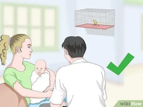 Дом канарейки Шаг 7