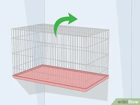 Дом канарейки Шаг 8