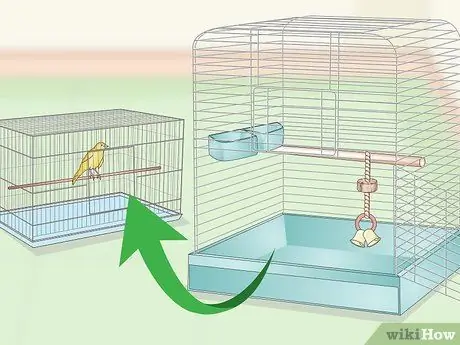 Очистите и поддерживайте среду обитания для канареек Шаг 5