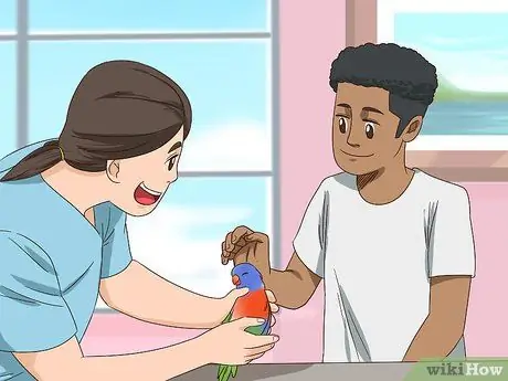 Жених Лори и лорикеты Шаг 10