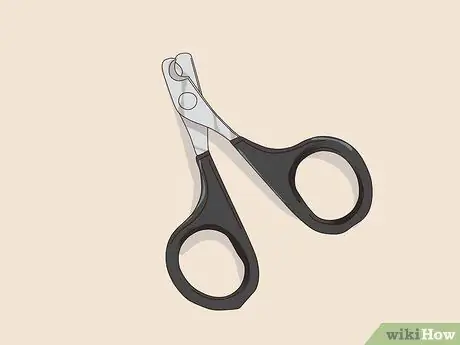 Жених Лори и лорикеты Шаг 4