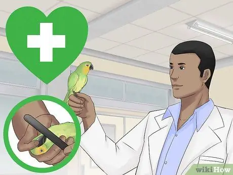 Держите конур в ухоженном состоянии Шаг 11