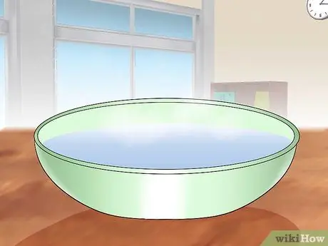 Держите Conure ухоженным Шаг 2