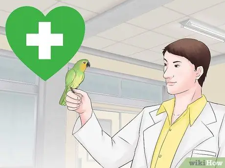 Ухоженный шаг 3