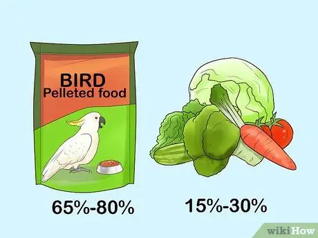 Борьба с ожирением у какаду Шаг 1