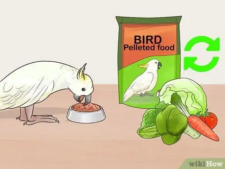 Борьба с ожирением у какаду Шаг 10