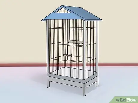 Борьба с ожирением у какаду Шаг 3