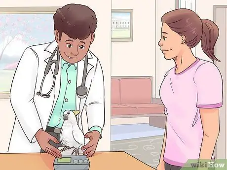 Борьба с ожирением у какаду Шаг 6