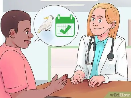 Какаду избавиться от ожирения Шаг 7