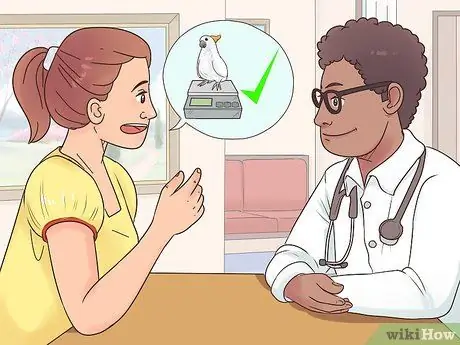 Какаду избавиться от ожирения Шаг 8