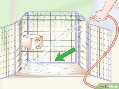 Очистка и поддержание мест обитания лори и лорикетов Шаг 10