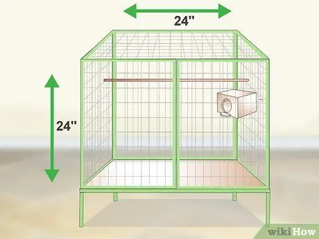 Очистка и поддержание мест обитания лори и лорикетов Шаг 13