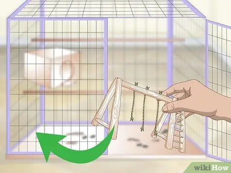 Очистка и поддержание мест обитания лори и лорикетов Шаг 2