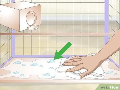 Очистка и поддержание мест обитания лори и лорикетов Шаг 4