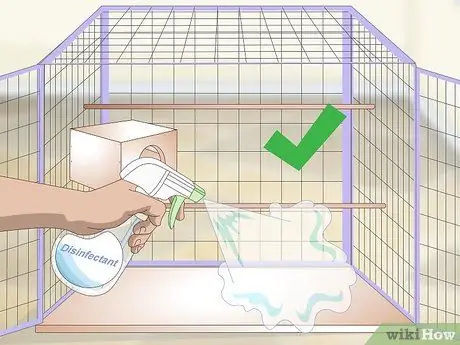 Очистка и поддержание среды обитания лори и лорикетов Шаг 5