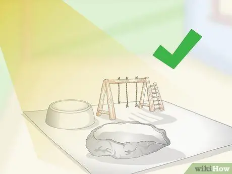 Очистка и поддержание мест обитания лори и лорикетов Шаг 7