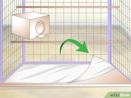 Очистка и поддержание мест обитания лори и лорикетов Шаг 8