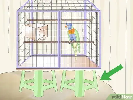 Очистка и поддержание мест обитания лори и лорикетов Шаг 9