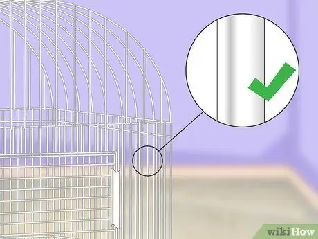 Создайте среду обитания ара, шаг 2