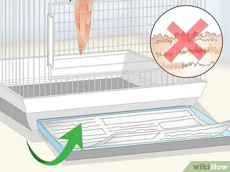 Создайте среду обитания ара Шаг 6