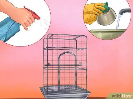 Уход за гиацинтовым ара Шаг 16