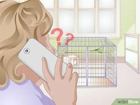 Как определить, что попугай заболел Шаг 14