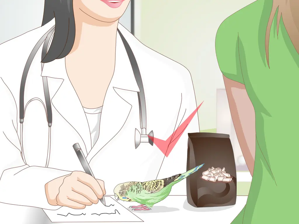 Как узнать, что попугай заболел (с иллюстрациями)