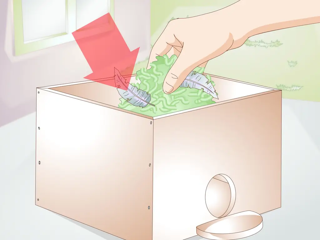 Как сделать скворечник для попугаев: 9 шагов (с иллюстрациями)