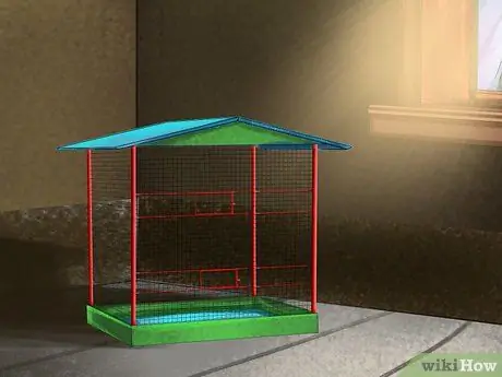 Предотвратить заражение попугаев Шаг 2