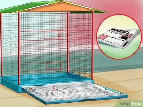 Предотвратить заражение попугаев Шаг 5