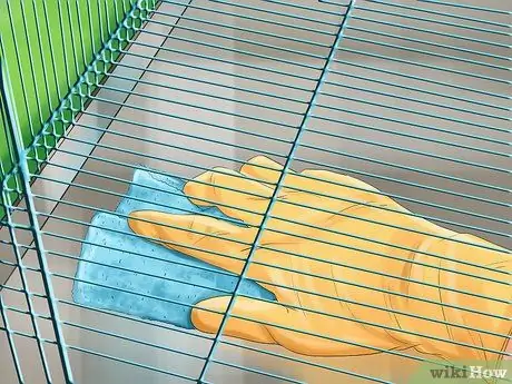 Предотвратить заражение попугаев Шаг 9