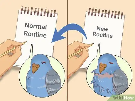 Остановить выщипывание перьев попугаев Шаг 10