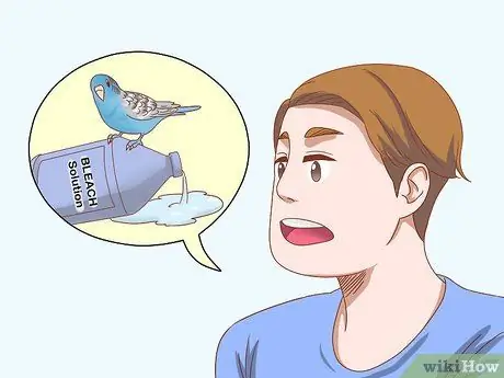 Остановить выщипывание перьев попугаев Шаг 4