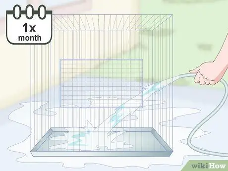 Завести попугая Шаг 13