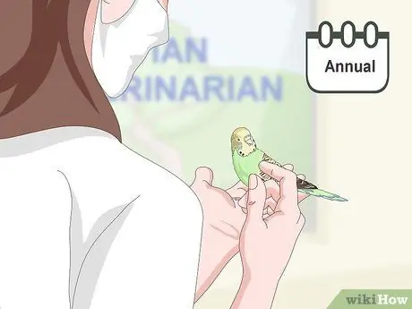 Завести попугая Шаг 15