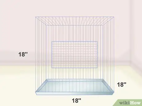 Завести попугая Шаг 4