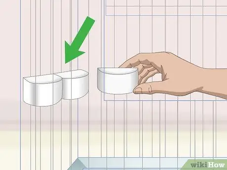 Завести попугая Шаг 5