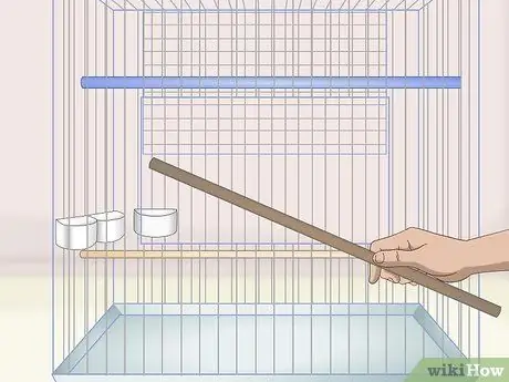 Завести попугая Шаг 6