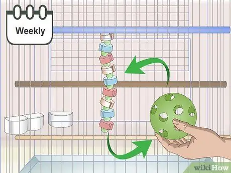 Завести попугая Шаг 7