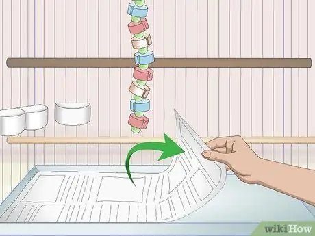 Завести попугая Шаг 8