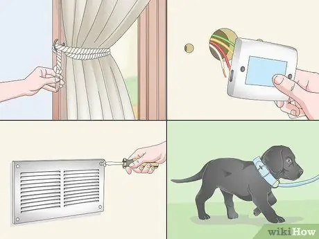 Развлекайте сенегальского попугая Шаг 7