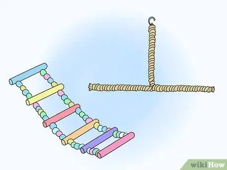 Развлекайте голубей, шаг 4