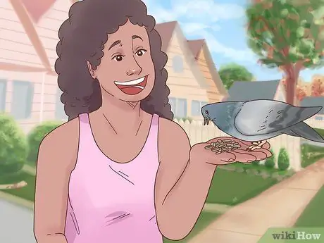 Призывайте голубей к сотрудничеству Шаг 4