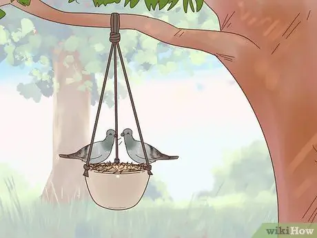 Призывайте голубей к сотрудничеству Шаг 7