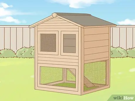 Держи домашнюю курицу Шаг 1