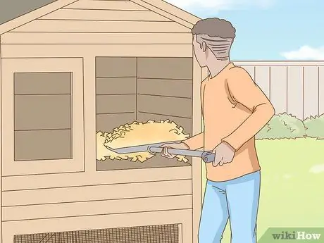 Держи домашнюю курицу Шаг 6