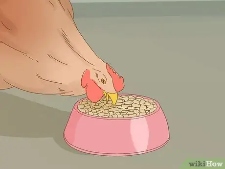 Держи домашнюю курицу Шаг 8