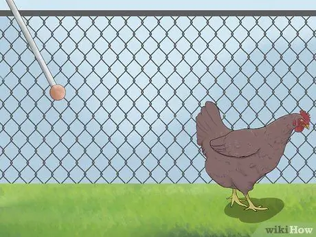 Приручить цыплят, шаг 14