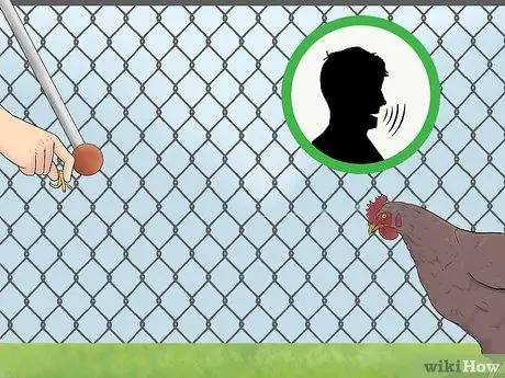 Приручить цыплят, шаг 15